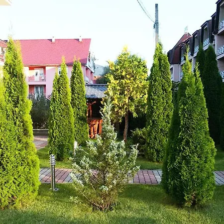 Edelweiss * Polyana (Transcarpathia)